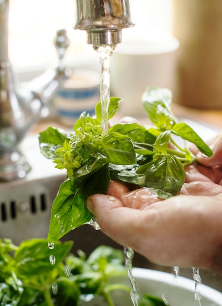 実行中の水の食べ物撮影レシピのアイデアの下でバジルを洗う人