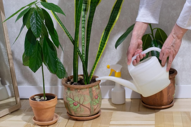 A person watering plants with a white watering can.