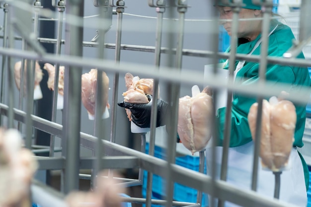 A person wearing a protective mask is holding a piece of meat in a cage.