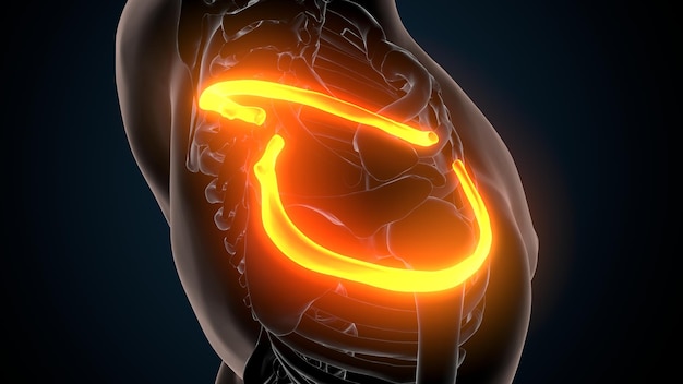 Photo a person with a neon orange symbol on their stomach