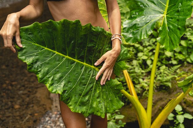 For personal album. Young slim woman hiding her body behind big plant while taking photo