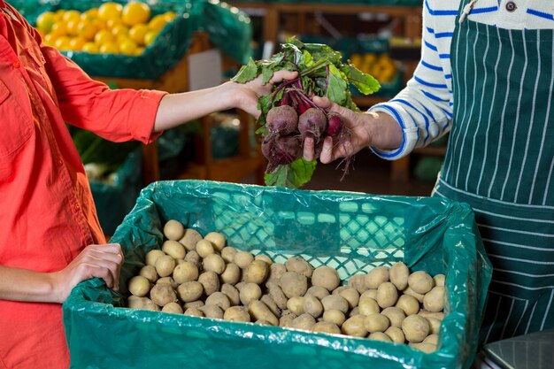 Personeel dat vrouw bijstaat bij het selecteren van verse bieten