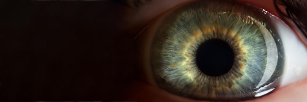 Persons eye extreme macro shot of female or male sight organ shadows of green eye colour