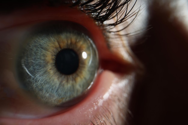 Макросъемка глаз человека женского органа зрения красивый зеленый цвет глаз