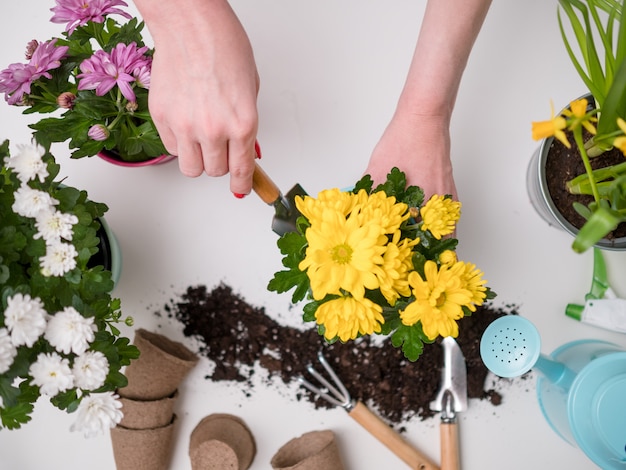 Persoon die bloemen op lijst met grond transplanteren, gieter, lepel