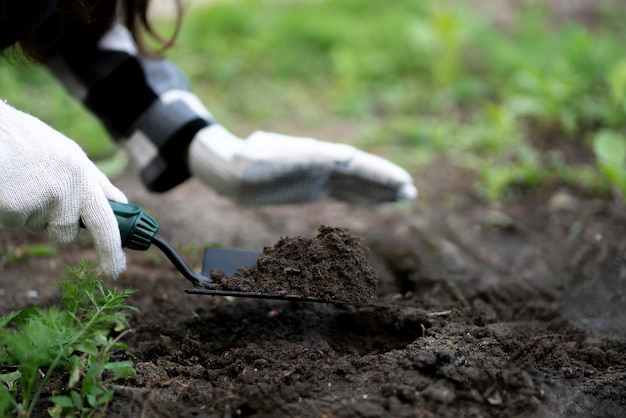 Persoon die een nieuwe bloemenplant plant in de tuin buiten