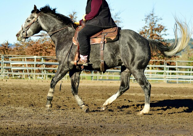 Foto persoon die op een paard in het veld rijdt