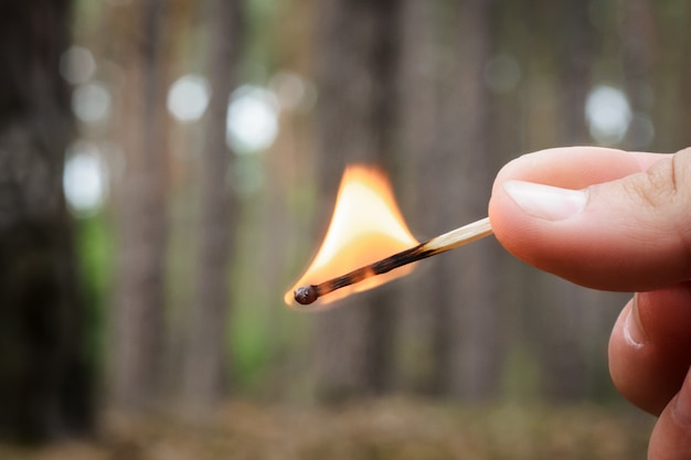 Persoon houdt een brandende lucifer in een naaldbos