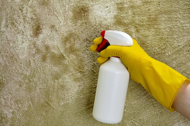 Persoon in rubberen gele handschoenen met een desinfecterende sproeier behandelt een betonnen muur van schimmel en schimmel