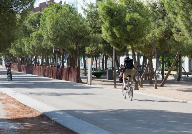 Persoon op een fiets in een stadspark, gezonde levensstijl