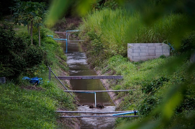 Perspectief van irrigatiekanaal in een park