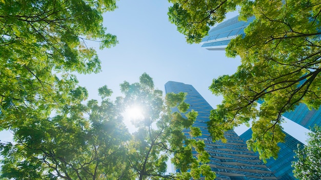 Foto prospettiva esterno modello blu vetro parete edifici moderni con foglie di albero verde