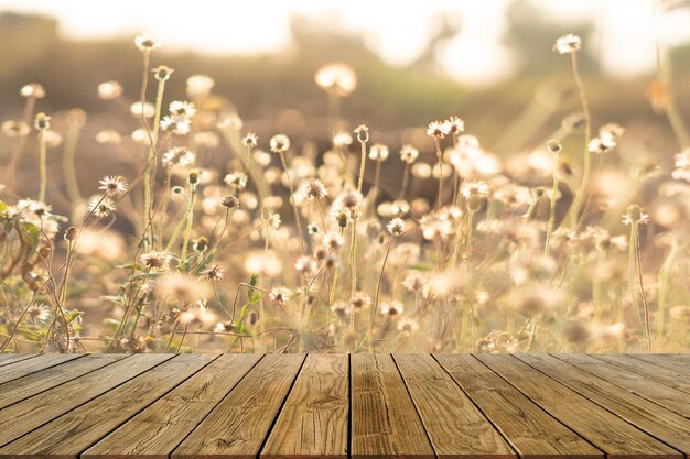 Photo perspective old wood on grass flower in pastel and soft style in flare light for outdoor background