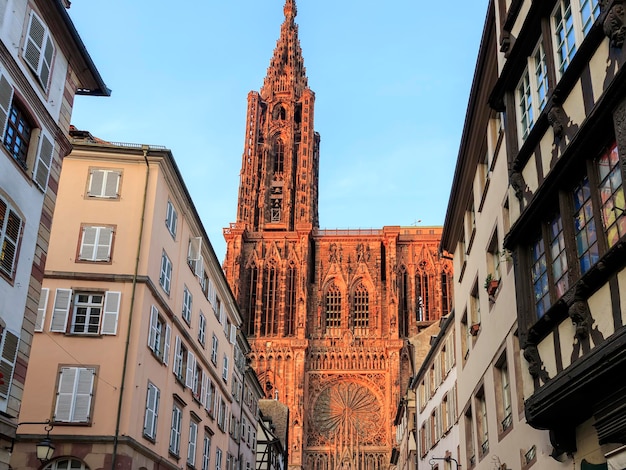 perspective of the streets with the cathedral of strasbourg