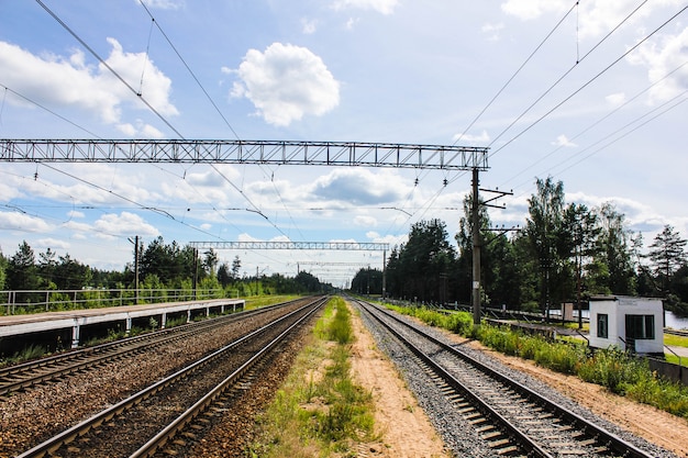 Perspective view of green field with dandelions and railroad running away under blue sky and green trees