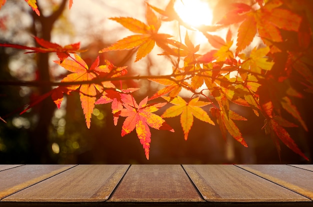 Contatore di legno di prospettiva con il giardino dell'albero di acero giapponese in autunno.