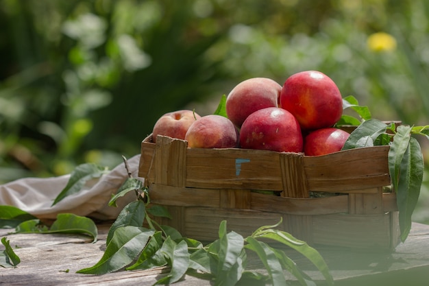 Perziken met bladeren in een houten doos op natuurlijke tuin