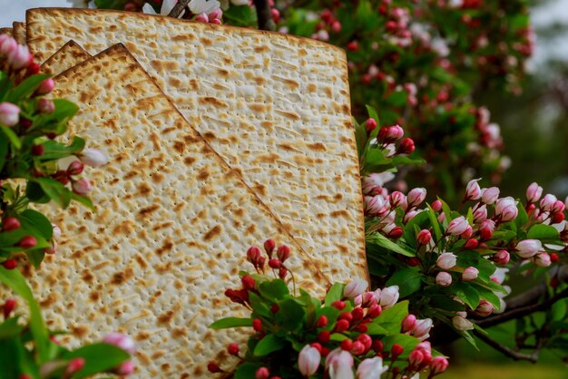 Photo pesach matzo passover with wine and matzoh jewish passover bread