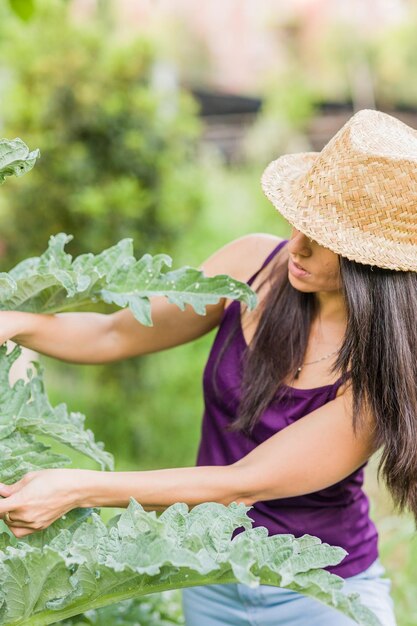 農業における害虫植物の葉の病気ヒスパニック系女性の中期の有機食品に無農薬の寄生虫