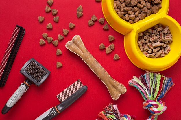 Pet accessories on red background. Top view. Still life. Copy space