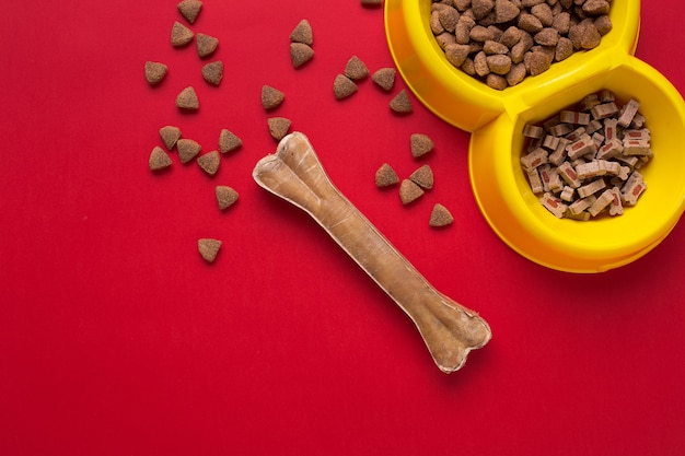 Pet accessories on red background. Top view. Still life. Copy space