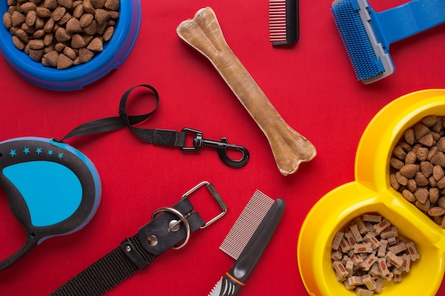 Pet accessories on red background. Top view. Still life. Copy space