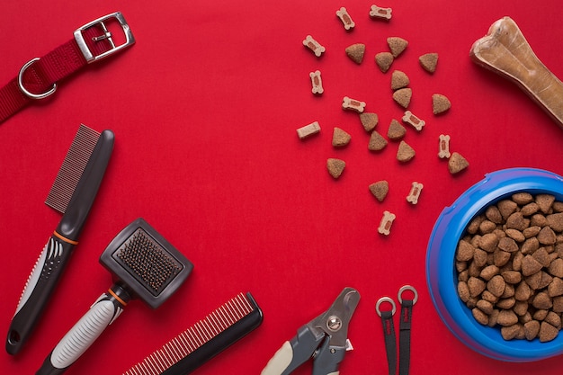 Photo pet accessories on red background. top view. still life. copy space