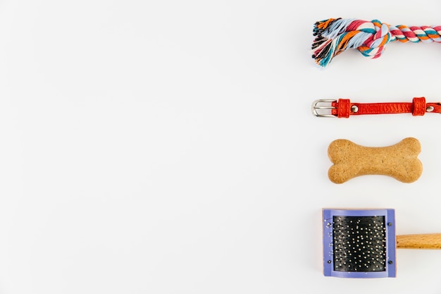 Pet accessories on white background