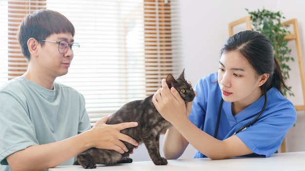 애완 동물 관리 개념 여성 수의사가 수의사 진료소에서 검사 테이블에 고양이를 검사하고 있습니다