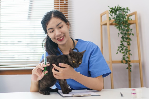 애완 동물 관리 개념 여성 수의사는 수의사 클리닉에서 고양이를 주사하기 위해 예방 접종을 준비합니다