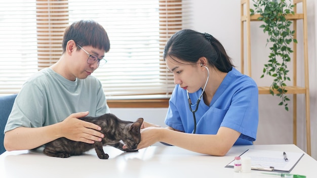 애완 동물 관리 개념 여성 수의사는 수의사 클리닉에서 고양이의 건강을 확인하기 위해 청진기를 사용합니다.