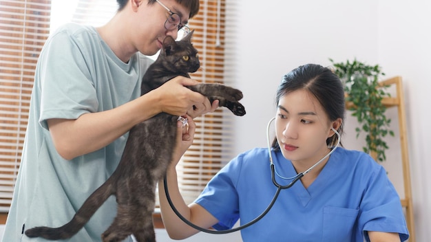 ペットケアのコンセプト女性獣医は、獣医クリニックで小さな子猫の呼吸をチェックするために聴診器を使用します