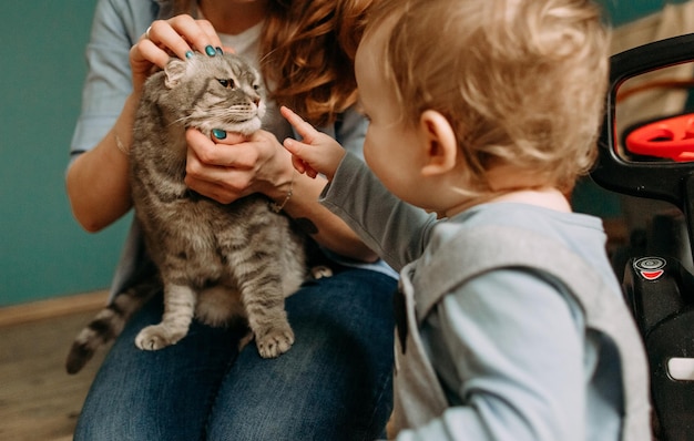 애완 동물 고양이 놀이 아이 가족 집 친구