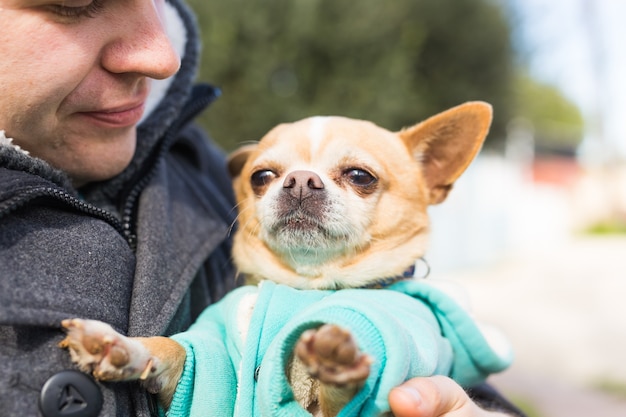 Pet, domestic animal, season and people concept - happy man with his dog walking outdoors.