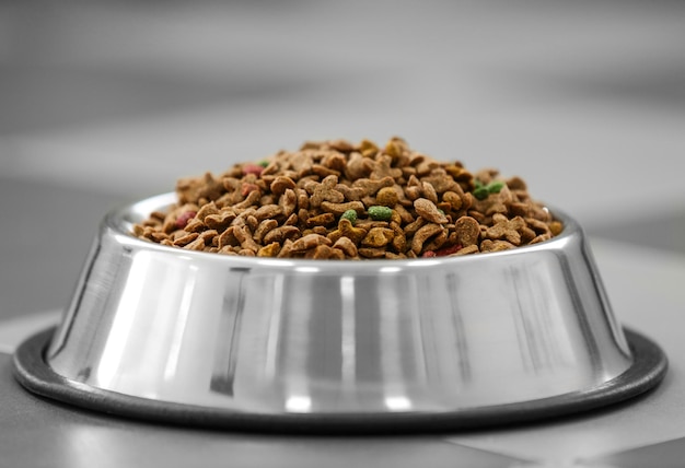 Pet food in a metal bowl on a floor