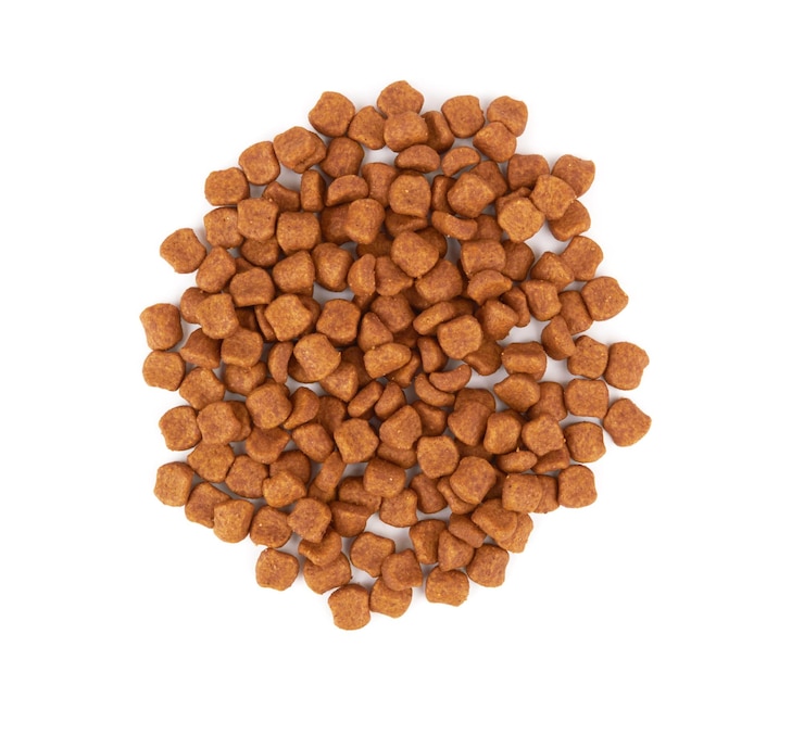 Photo pet food on white