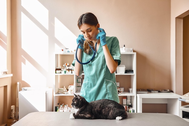 Ritratto di salute dell'animale domestico di una giovane veterinaria in uniforme da lavoro che tiene in mano un fonendoscopio e