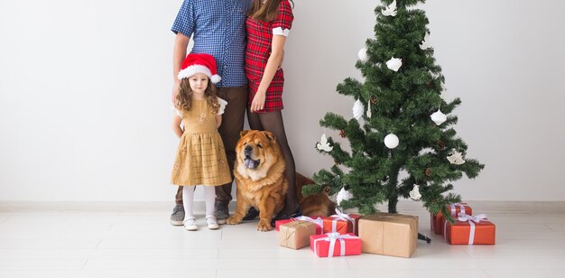 Pet, holidays and festive concept - Family with dog are standing near christmas tree close-up