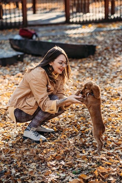 秋の公園で飼い主の手の中のかわいいイングリッシュ・コッカー・スパニエルの子犬が大好き