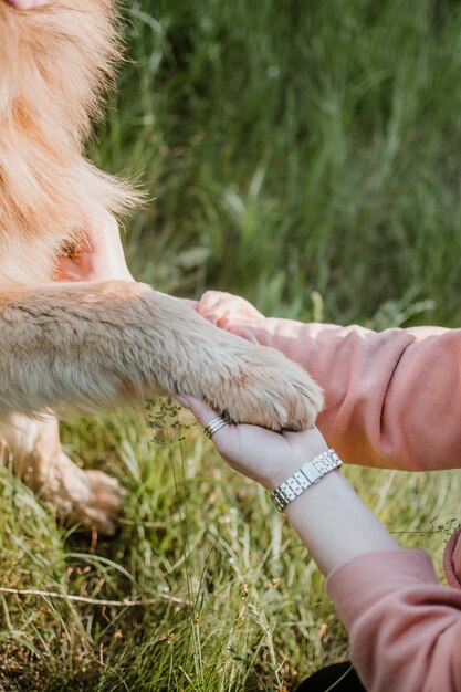 ペットの愛、犬は親友です