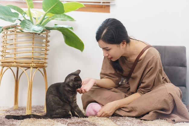 애완 동물 애호가 개념 젊은 아시아 여성이 바닥에 소파에 앉아 고양이와 함께 그립을 치기 위해 손을 사용합니다.