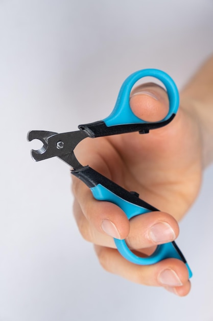 Pet nail clippers in human hands top view