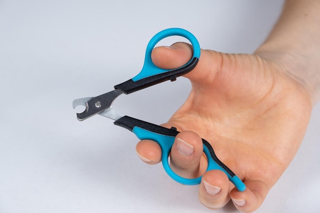 Pet nail clippers in human hands top view