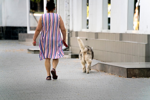 A pet owner walking with pet in the outdoors