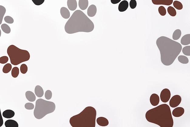 Pet paws on white background dog paws pattern National Puppy Day creative concept top view