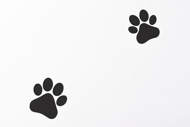 Pet paws on white background dog paws pattern National Puppy Day creative concept top view