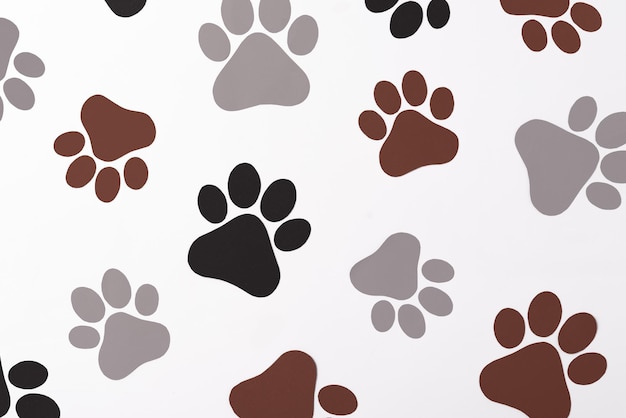 Pet paws on white background dog paws pattern National Puppy Day creative concept top view