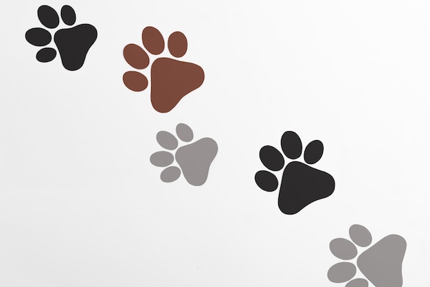 Photo pet paws on white background dog paws pattern national puppy day creative concept top view