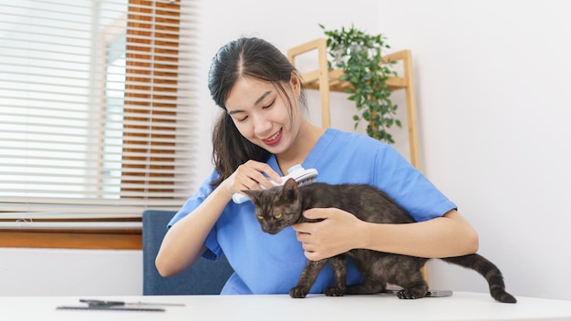 애완 동물 살롱 개념 여성 수의사는 미용실에서 고양이 털을 빗질하기 위해 빗질하는 헤어 브러시를 사용합니다.