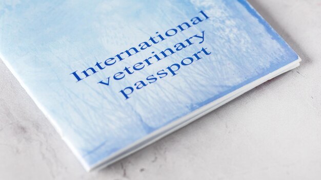 Pet Veterinary Passport on Gray Background Veterinary Concept Banner Long